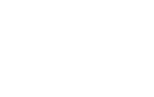 logo-customs