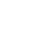 logo-ico